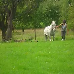 Vakantiehuis Cozy Escape In Namur Region *