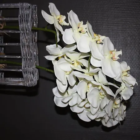 Ferienhaus Cozy Escape In Namur Region *